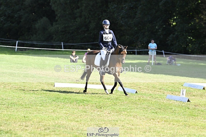 250822A-103443-20317 - DR 10.00 to 11.00