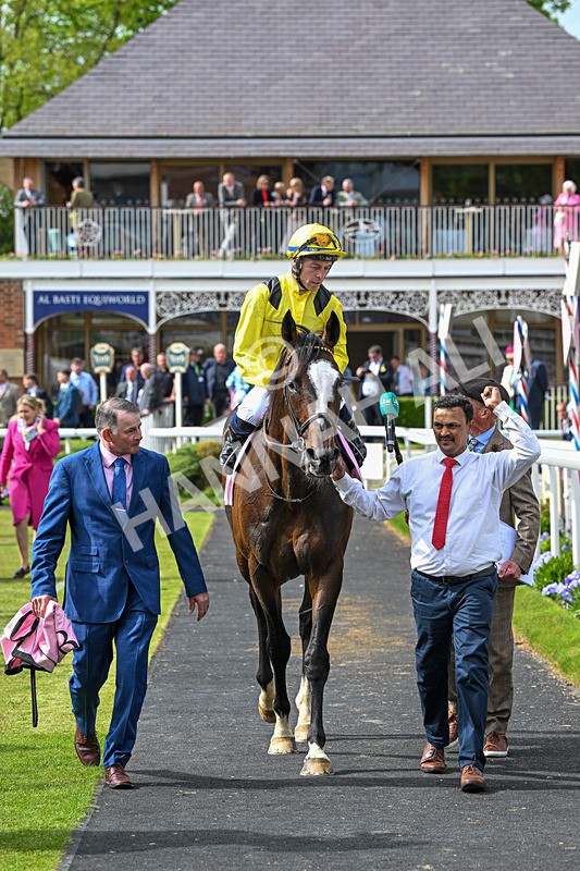 150526-Race 5-Rahiebb-8204 - Race 5 4.05pm Boodles Yorkshire Cup Stakes