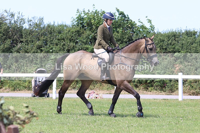 JPP_3222 - Class 22: Working Hunter 70cm