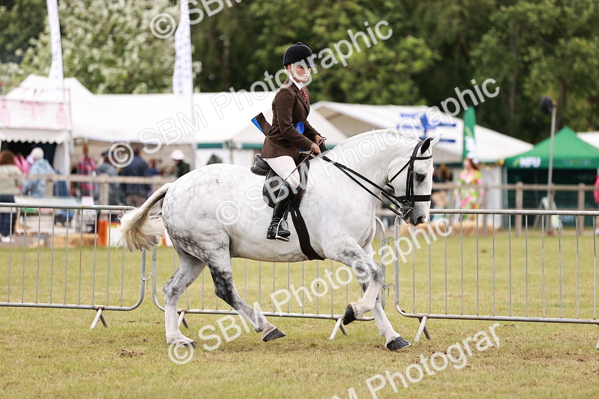 SBM_14097 - Class 85-87 - RIHS Cobs