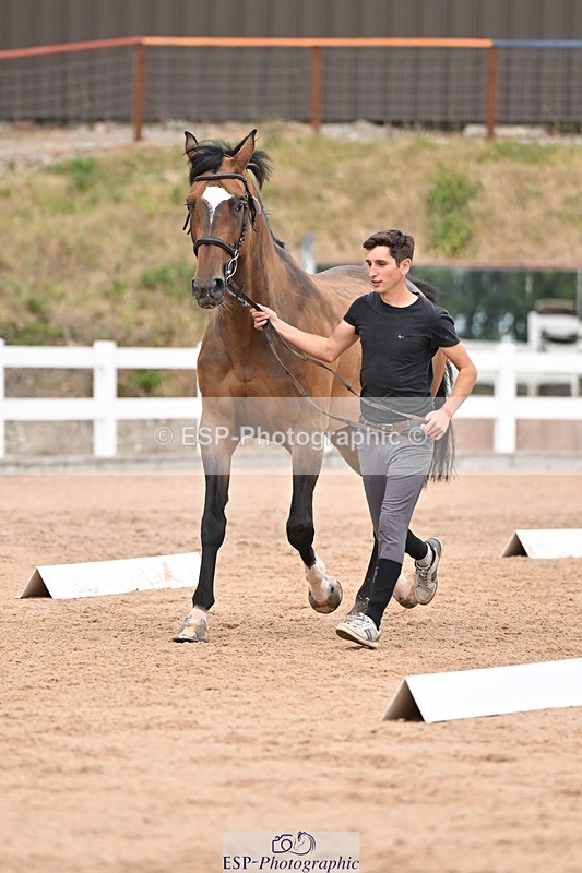 250716-161848-02552 - Trot Up 3.30 to 4.30