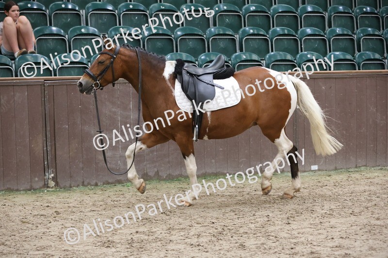 20250622-7649 - PC70 Qualifier - Round 2