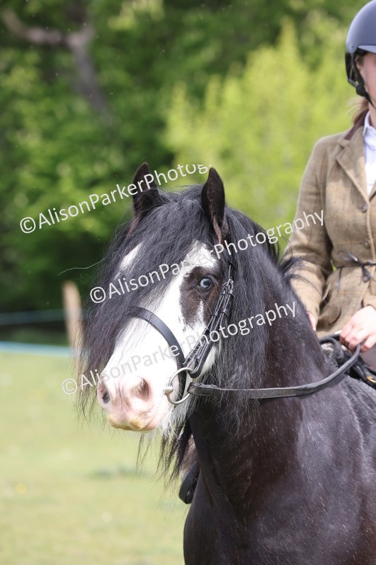 20260426-3002 - Class 33 - Best Pony 14.2hh and Under