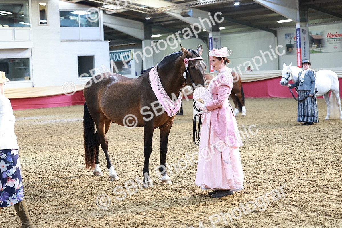 SBM_12076 - Class 103 - IH Costume