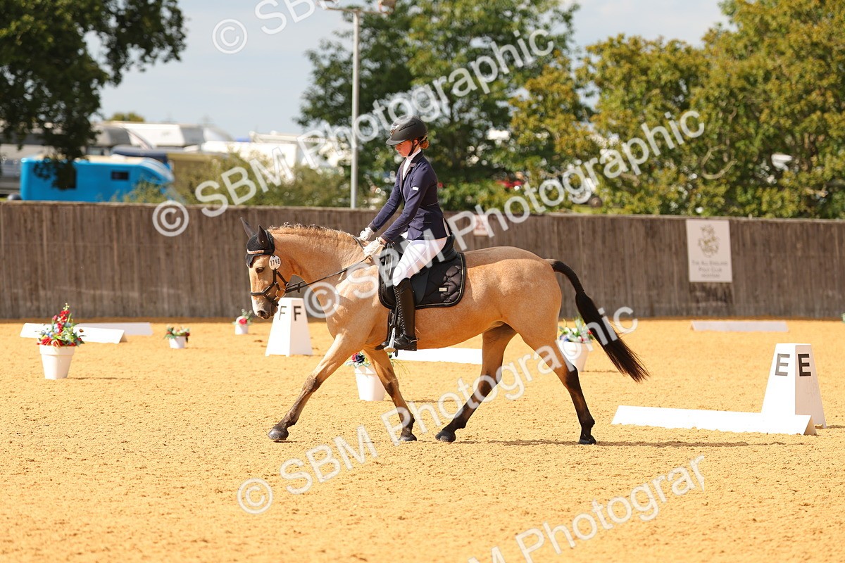 SBM_48312 - D22 - Junior Championship - Intro B