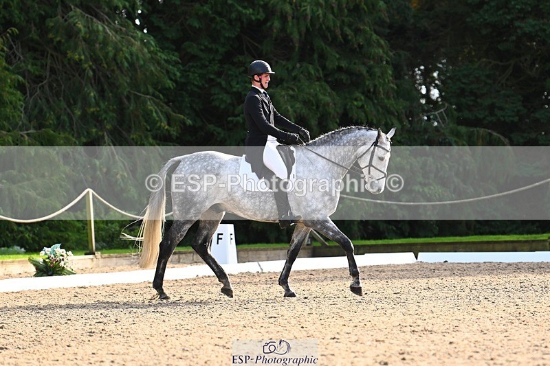 231021-141846-18685 - 252-A.LUCKY.STRIKE-Toby.Roach-DR