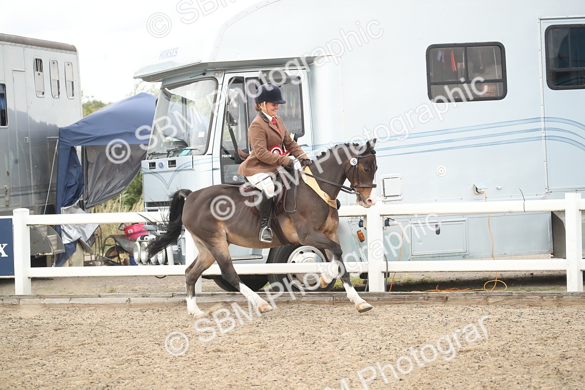 SBM_17954 - Class 508b - Working Veteran 70cm (20+)