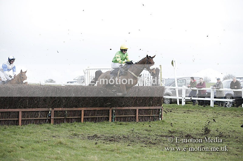 PtP 150320 0586 - New Forest Point-to-Point Larkhill 15/03/20