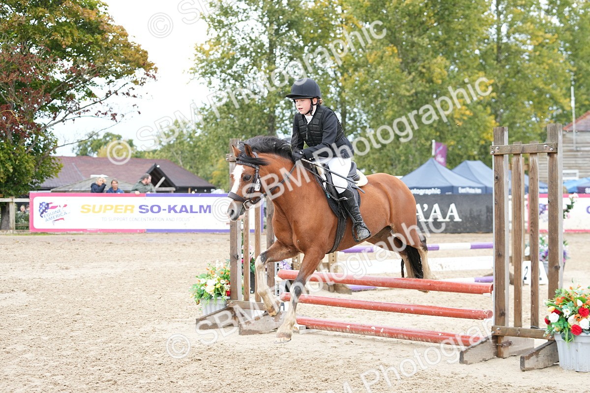 SBM_43433 - J7 - Junior Pony 60cm Championship
