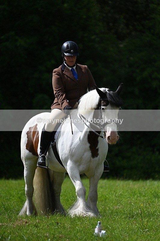 WJ7_1348 - Class 11 Condition & Turnout