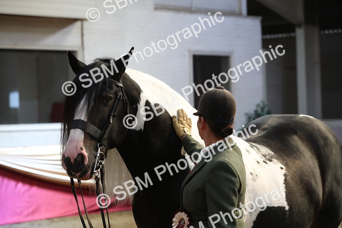 SBM_01379 - Class 3a Area IH Pre Vet