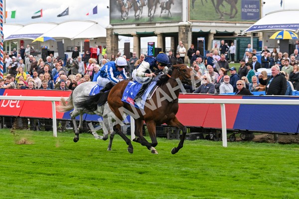 210825-Race 1-Royal Fixation-3612 - Race 1 1.50pm Sky Bet Lowther Stakes