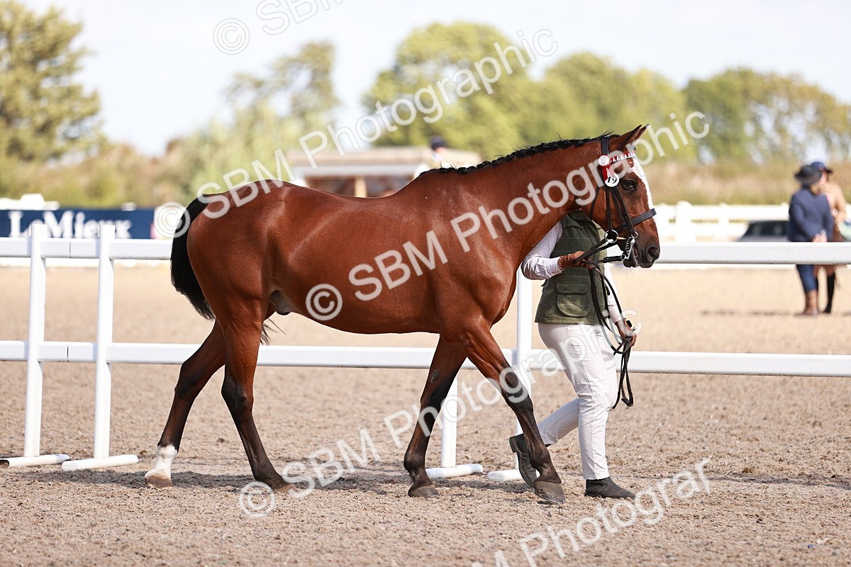 SBM_22942 - Class 707 - IH groom Helpers Class