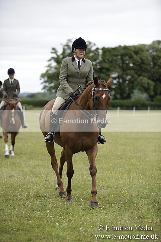 BVR160717-789 - Ring 1 BVRC Show 16/07/17