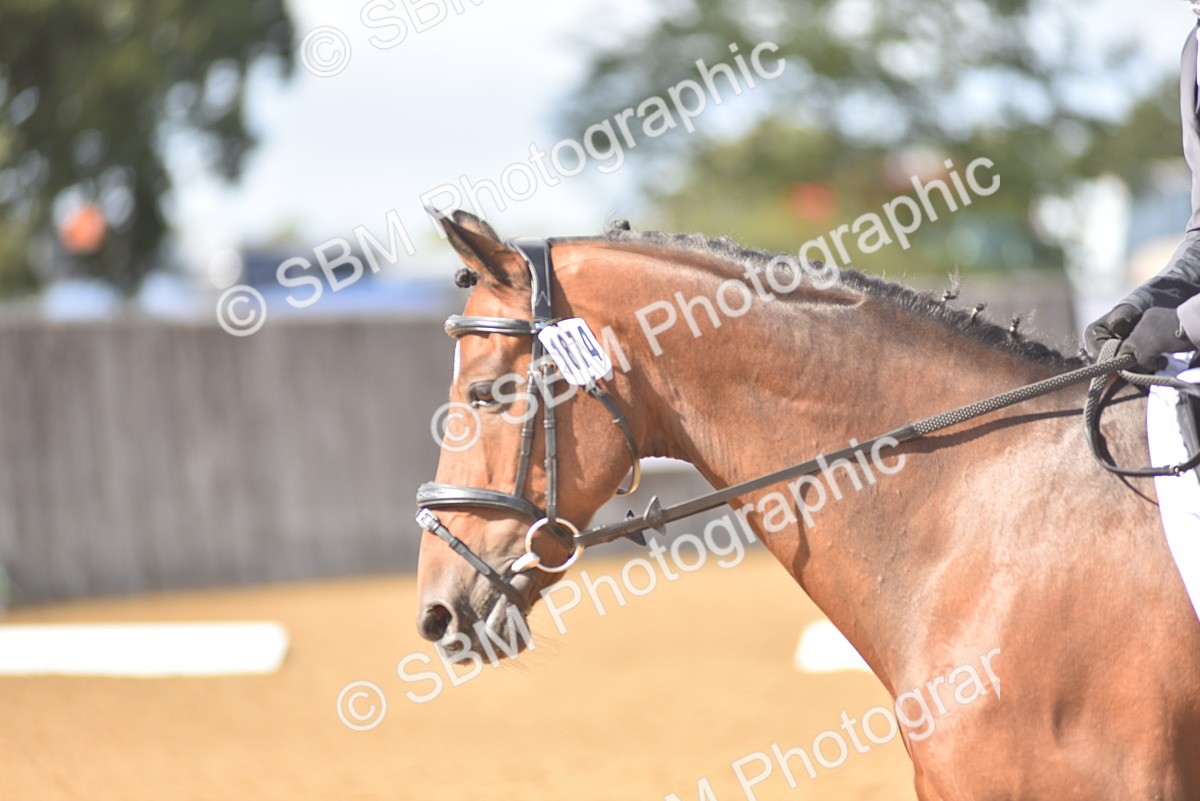 SBM_24221 - D4 - Small Tour Championship Intro 4