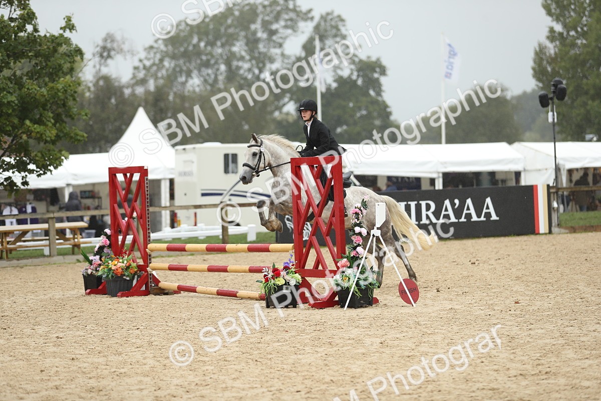 SBM_73876 - J16 - Junior Pony 75cm Championship