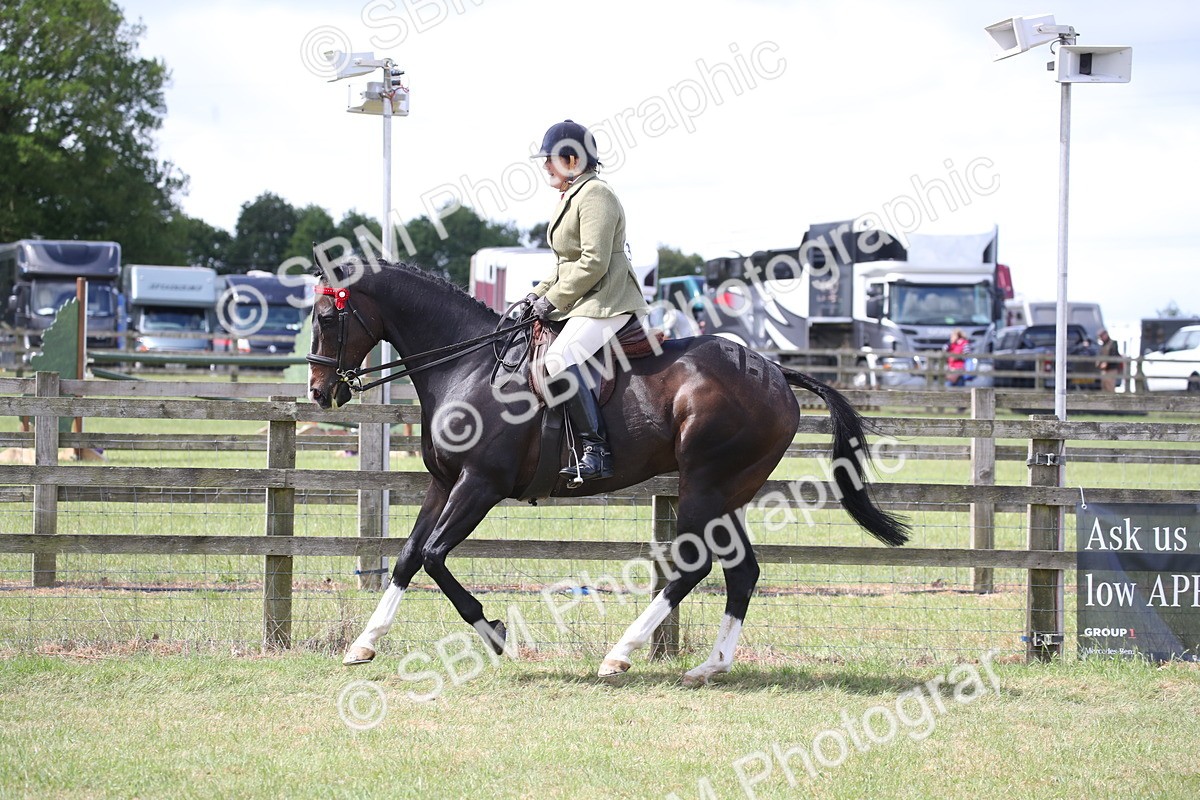 SBM_14198 - Class 113-114 - Retraining of Racehorses Ridden