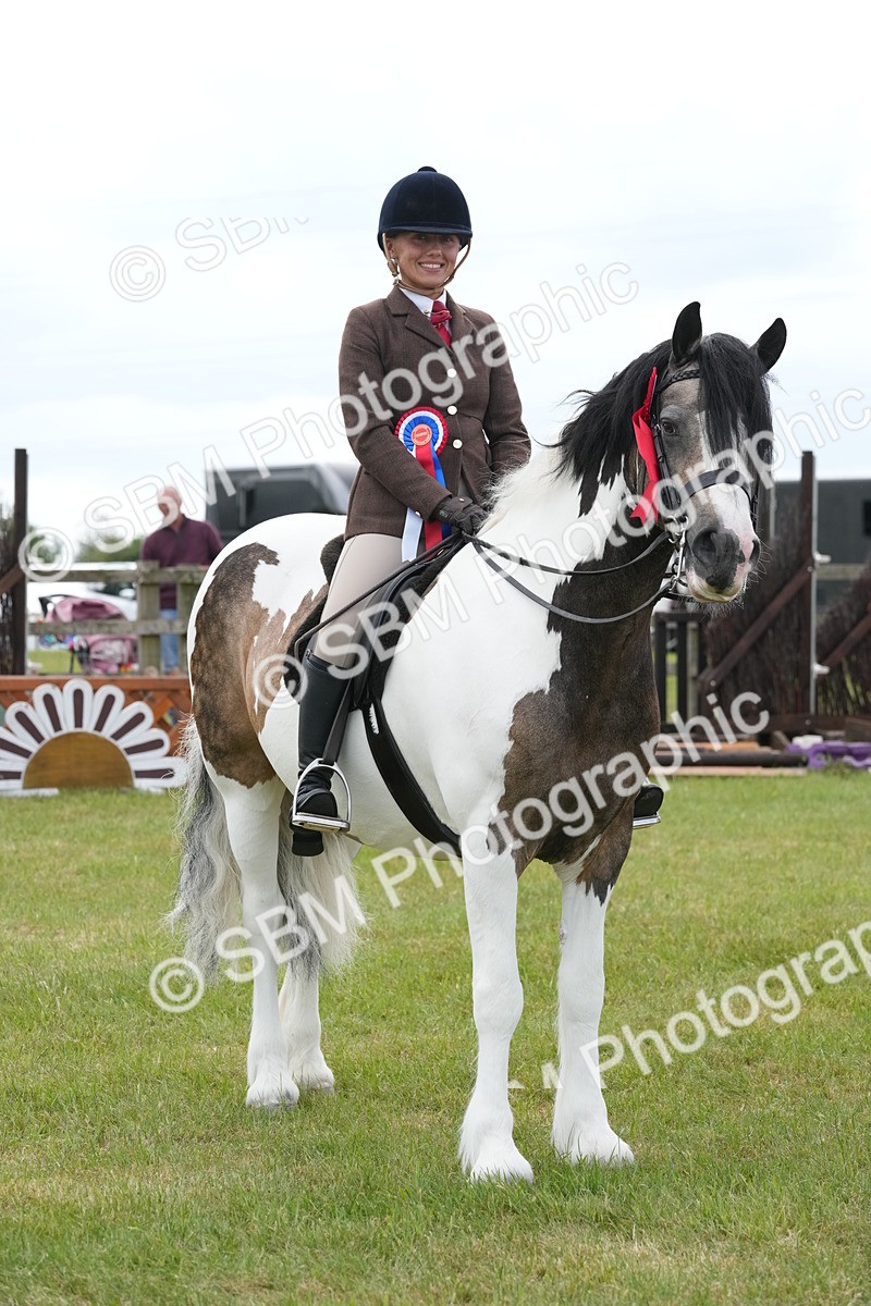 SBM_17683 - Class 107-108 - LIHS BSPS Performance Coloured Horse Pony