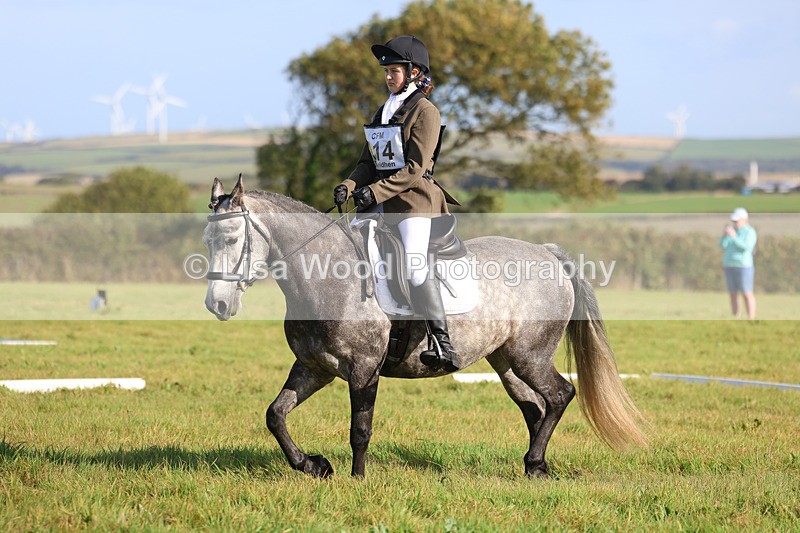 3E7A5721 - Class 1: Trebudannon Open: Dressage (Part 2)