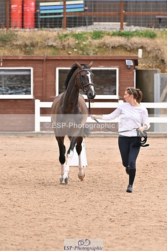 250716-144136-01312 - Trot Up 2.30 to 3.30