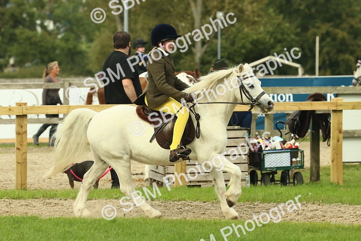 SBM_69907 - S59 - Mountain & Moorland Ridden Small Breeds