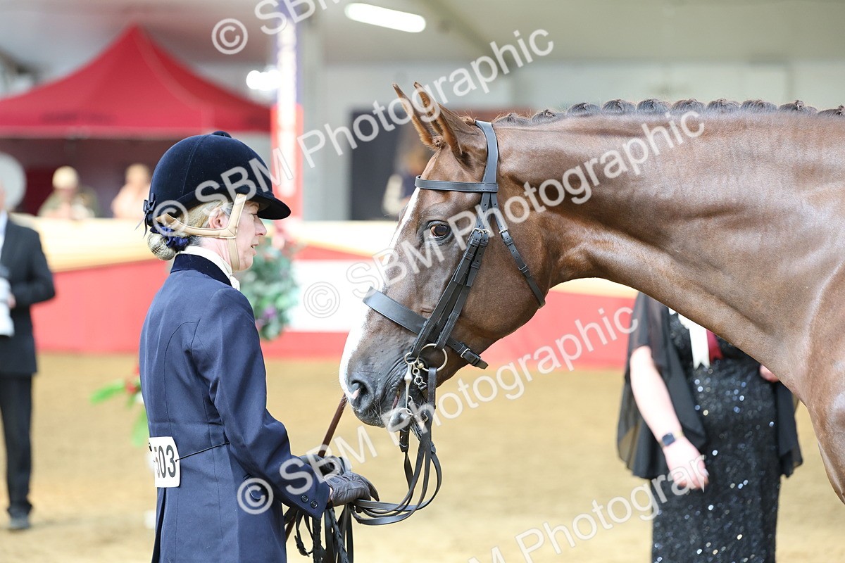 SBM_23335 - Class 903 - Supreme Final - IH Pre Vet