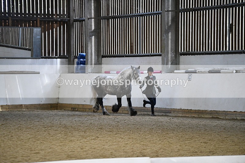 WJ5_5197 - Class 8 In hand cob