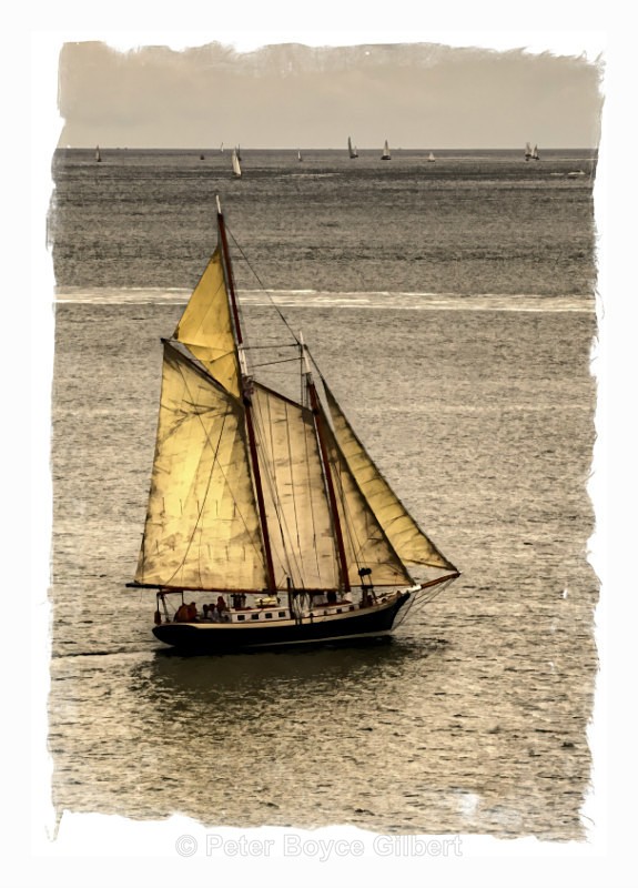 The 'Flower of Caithness' sailing in Plymouth Sound, July 2014 - 'Paintings'