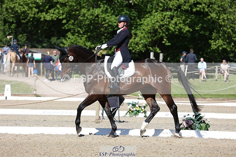 230526-094048-05133 - 357-VIVENDI_HERO-Saffron_Cresswell-WEDTrotUp+DR