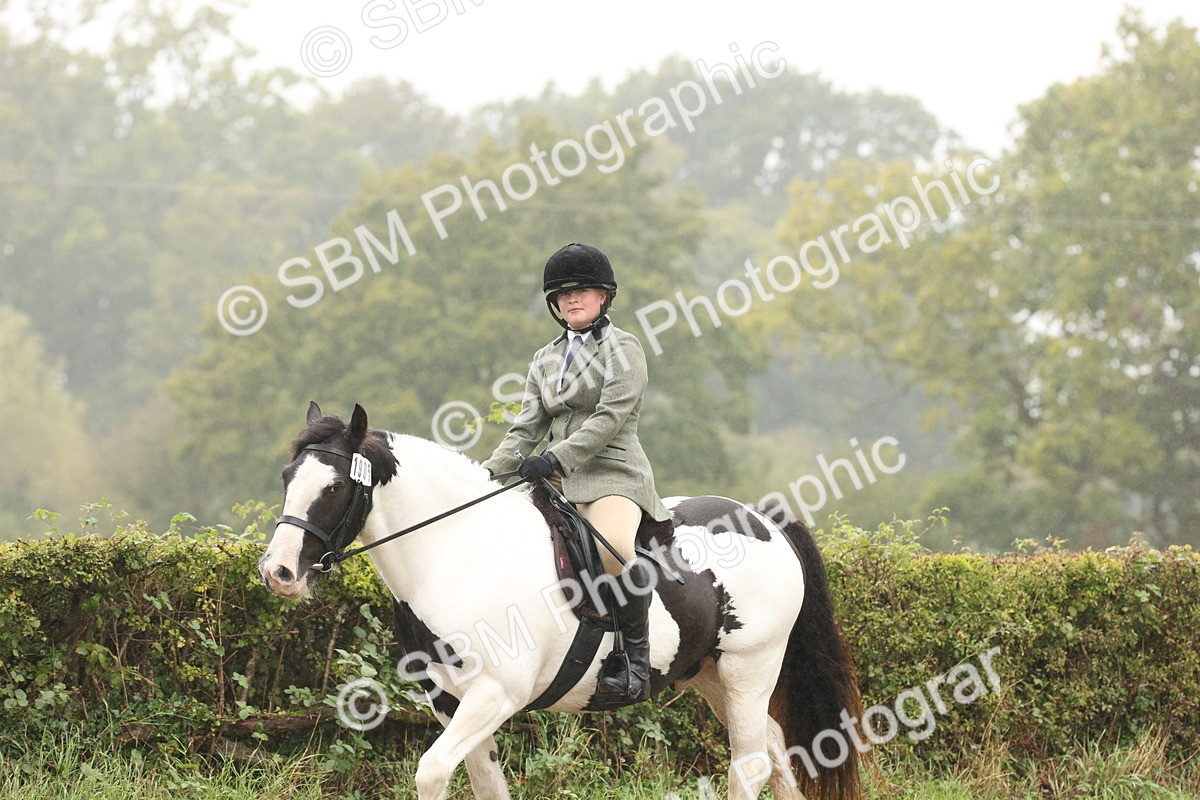 SBM_72750 - S70 - Traditional Cob Ridden