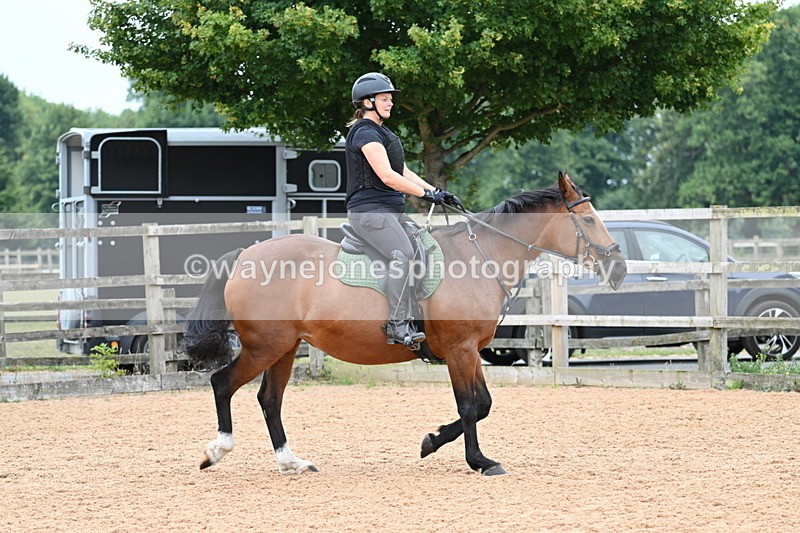 WJ7_8531 - Poles 11:00am