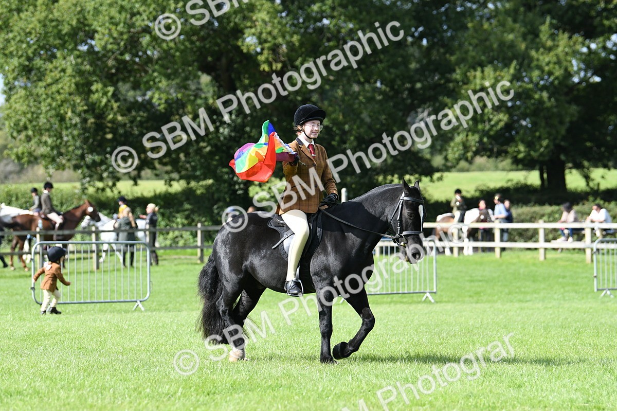 SBM_47055 - S12 - Family Horse & Pony