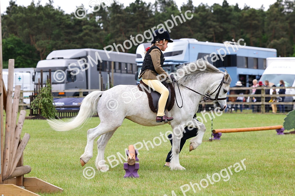 SBM_08214 - Class 42-43 - LIHS BSPS Heritage Working Sports Pony