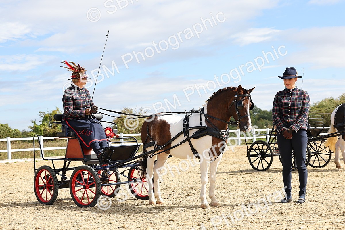 SBM_000943 - Class 8 - Novice Horse or Pony to any vehicle