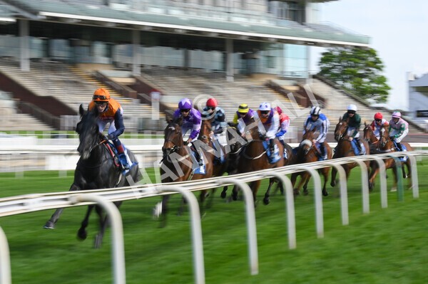yr13052021r7-12 - Race 7 4.50pm Autohorn Stakes