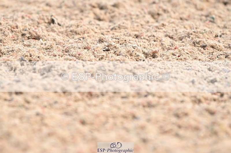 250620-103509-02640 - BD Cls 4 - Novice 5, Start to 11.30am