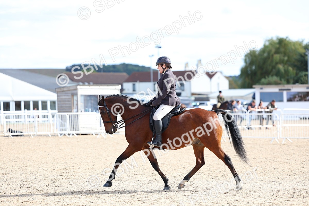 SBM_17207 - Class 315 - Best Horse - Rider Combination