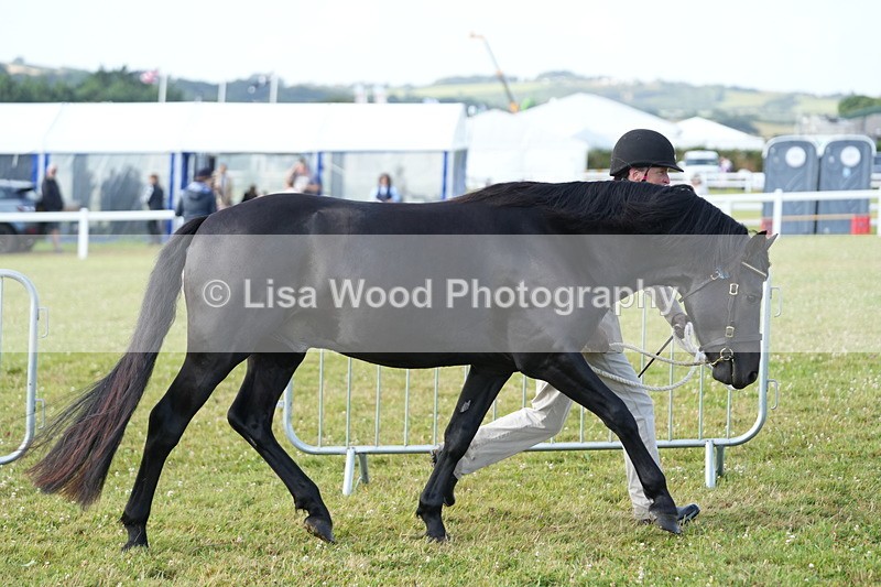 DSC04911 - Class 48: NPS M&M 2/3 year olds