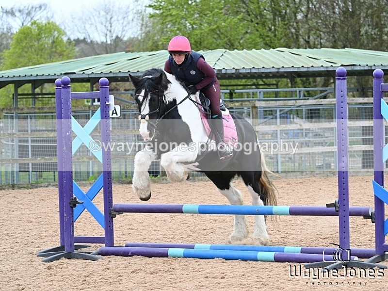 WJ7_3794 - Jump Lesson with Kelly Harris at BCA 04-04-26