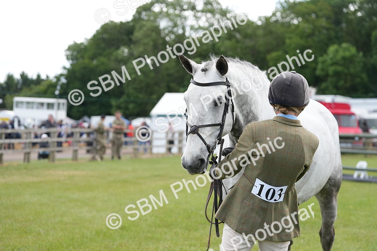SBM_14896 - Class 100-102 - RIHS Working Hunter