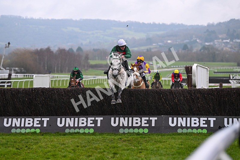 131224-Race 5-Numitor-9392 - Race 5