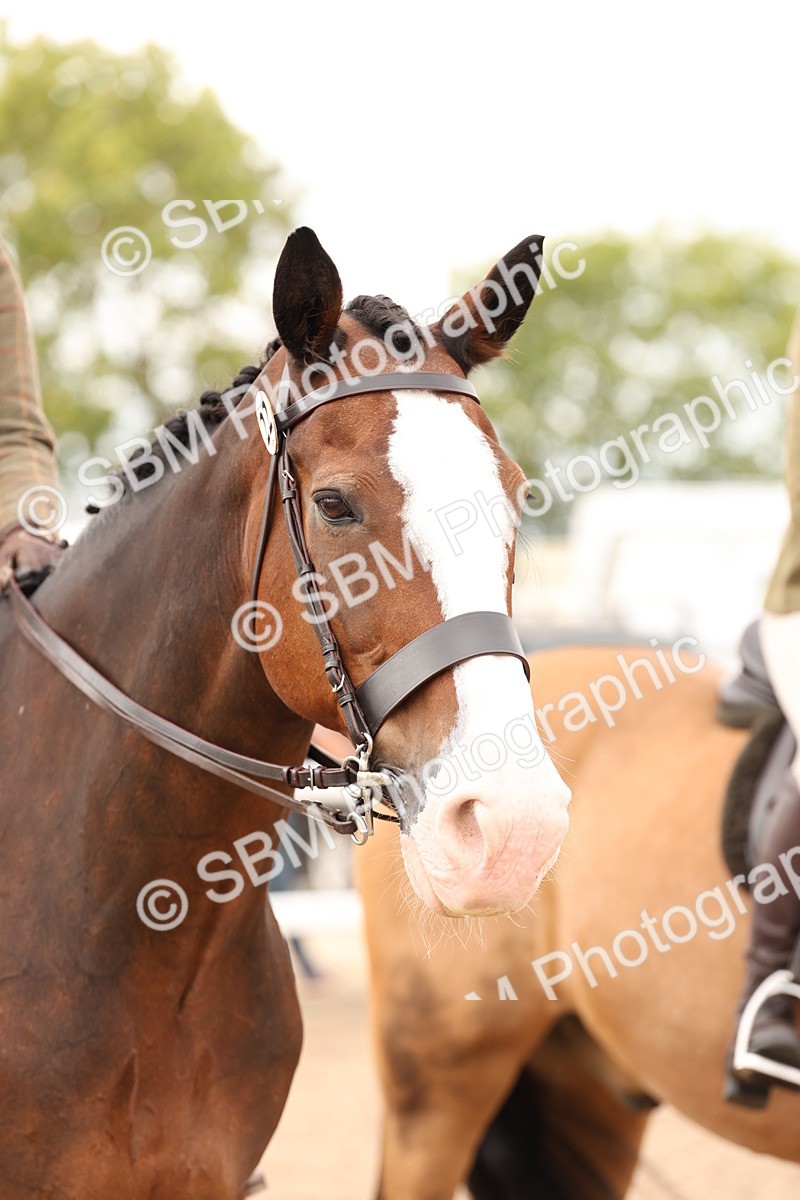 SBM_17270 - Class 213 - Ridden Hunter - Large