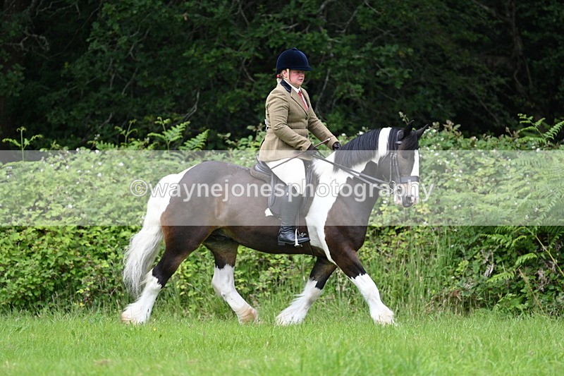 WJ7_2329 - Class 12A Coloured Class