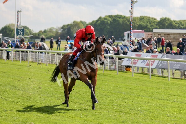 yr11052022r4-26 - Race 4 3.35pm Tattersalls Musidora Stakes