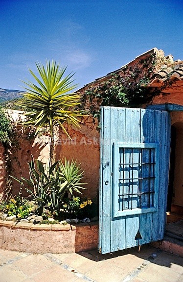 Blue door - Gardens & plants