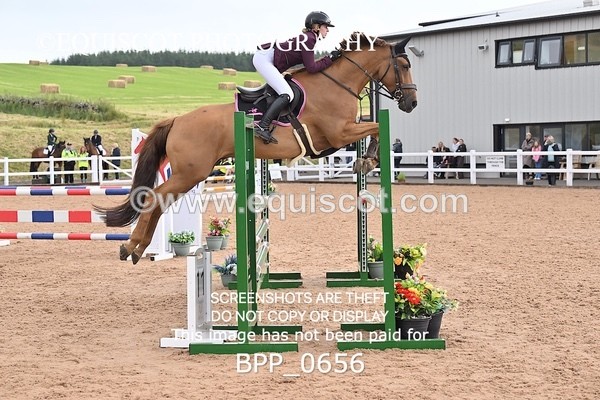 BPP_0656 - CLASS 28 SUN Nupafeeds Senior Dicovery/1m open
