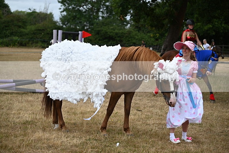 WJ6_8756 - Class 11 Fancy Dress