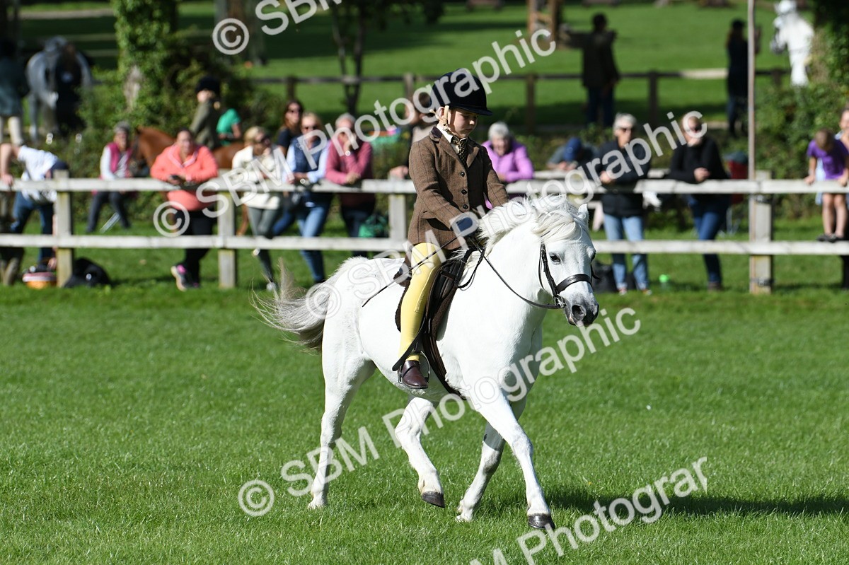 SBM_50307 - S21 - Novice & Newcomers 1st Ridden Pony