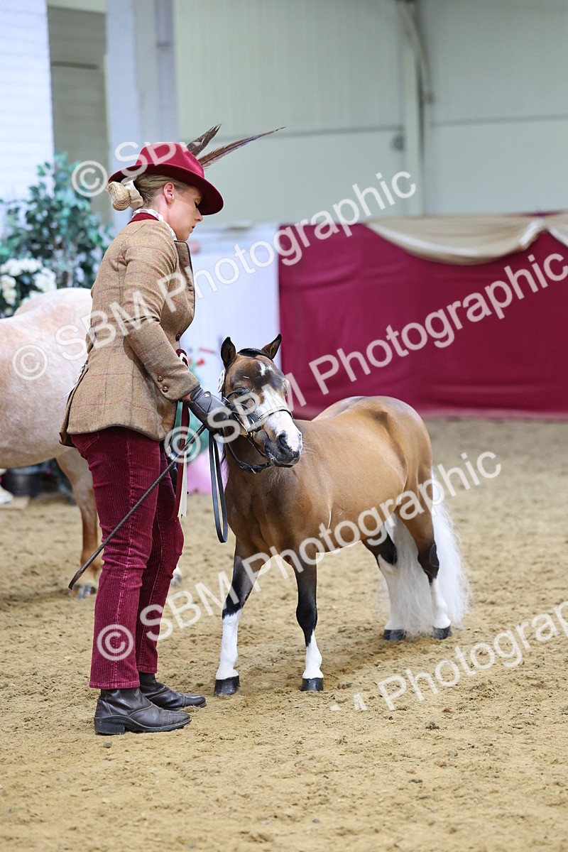 SBM_21113 - Class 902 - Supreme Final IH Veteran