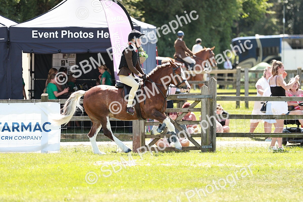 SBM_17630 - Class 112-113 - BSPS LIHS Working Sports Pony